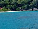 Similan (221)